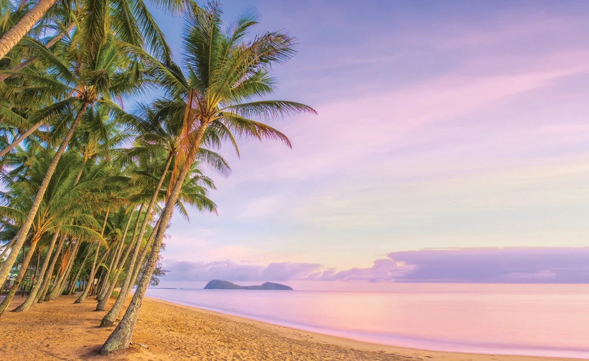 Palm trees over a beach with a purple sky