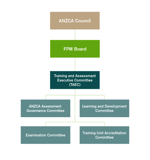 Governance structure of FPM Training and Assessment Executive Committee