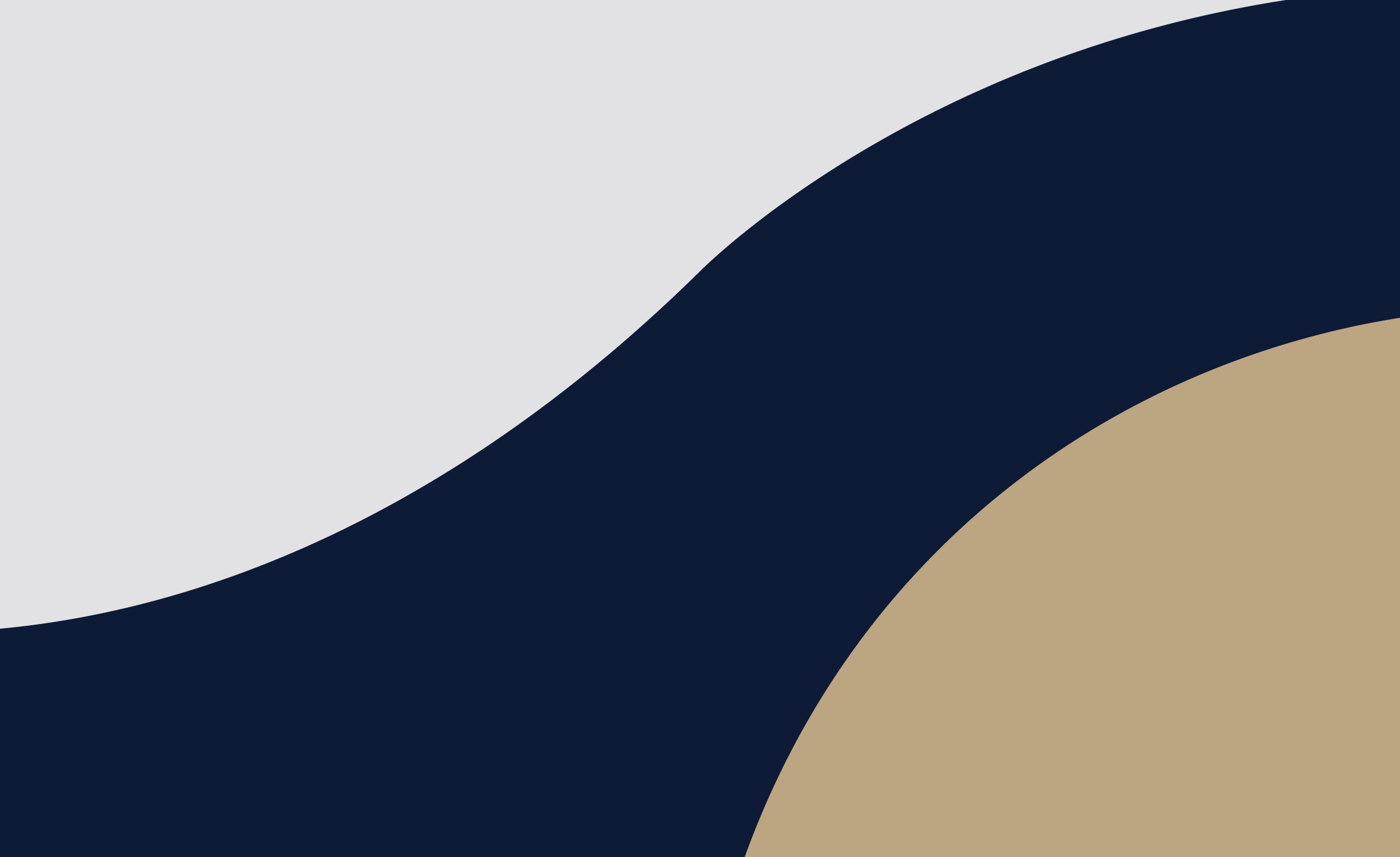 Navy, grey and gold graphic language image 2